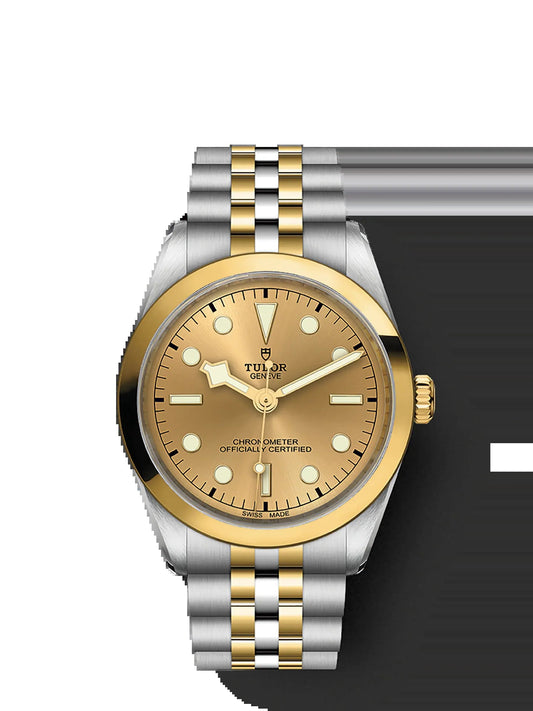 Black Bay 36 S&G, 316L Stainless Steel and 18K Yellow Gold, Ref# M79643-0005