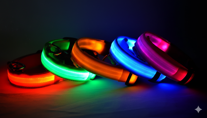 Nylon LED Pet Dog Luminous Collar Night Safety Flashing Glow in Dark Dog Cat Leash Adjustable Pet Supplies