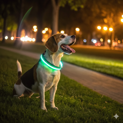 Glowing Pet Collar – USB Rechargeable LED Safety Collar for Dogs & Cats