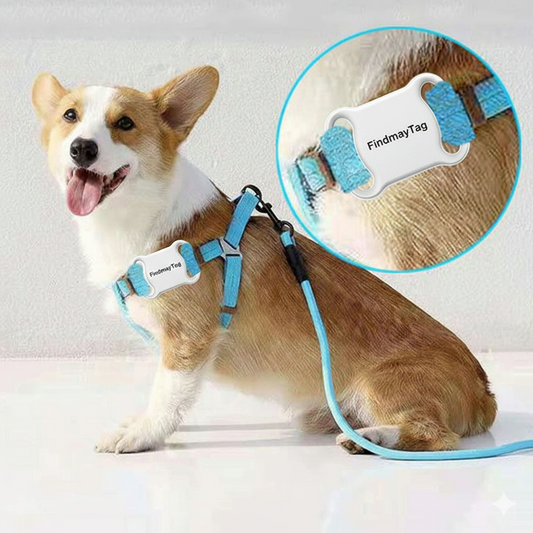 Smart Pet GPS Locator – Real-Time Tracker for Cats & Dogs