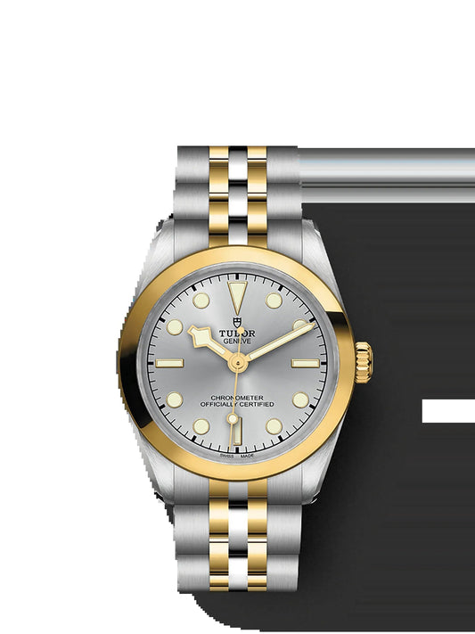 Black Bay 39 S&G, Stainless Steel and 18K Yellow Gold, Ref# M79663-0002